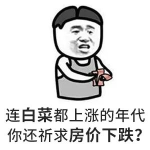 請給我一個房價會跌的理由？水泥漲價10%-15%，木材漲15%-30%...唯獨到手的錢少了，此時不買房，更待何時？