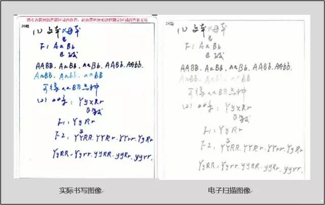 中高考電腦閱卷流程這樣的!讀完可多拿20分(轉(zhuǎn)給考生,這對他們有用)