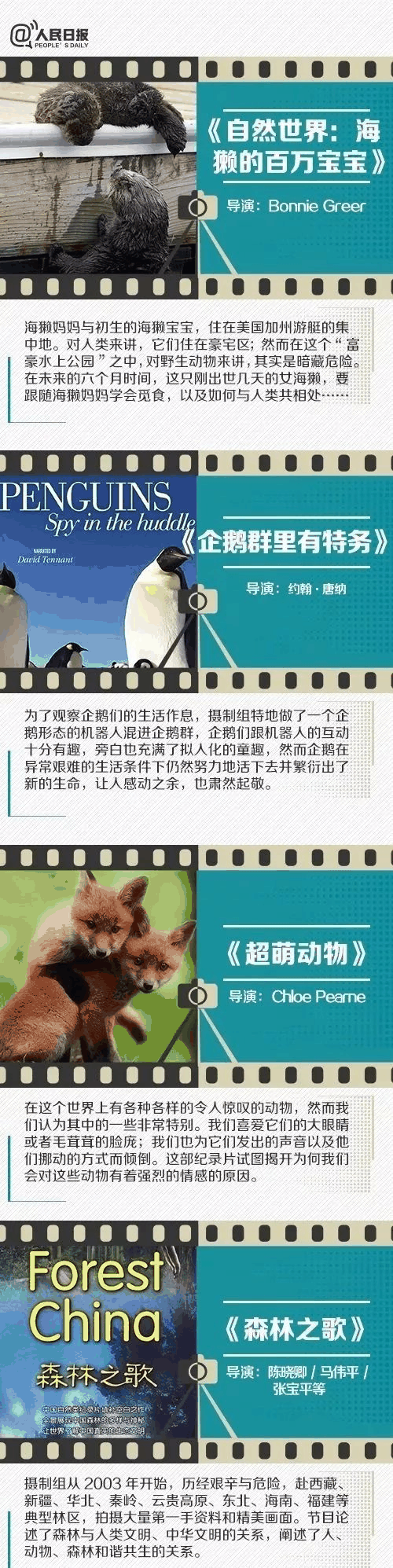人民日?qǐng)?bào)推薦！小長假陪孩子看這些紀(jì)錄片，勝過出門玩五天