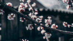 有些時(shí)候，我們所做的一些小事，在不經(jīng)意間，