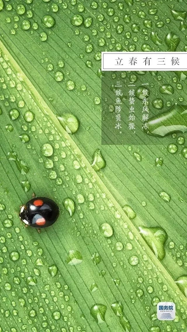 今日立春 | 在這里，邂逅最美春天……