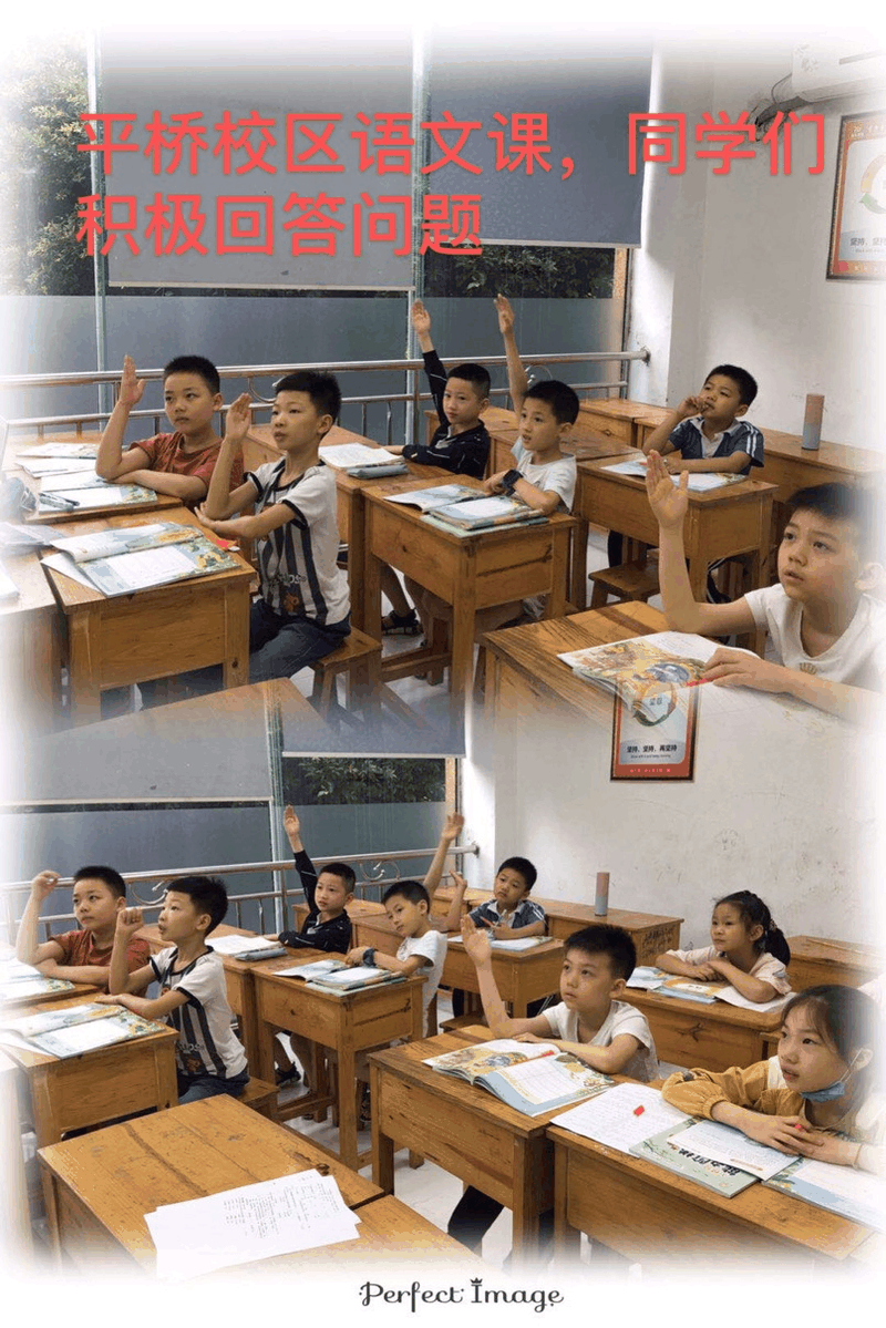 百年教育小學文化、藝術雙師教學打造讓學生尖叫互動的課堂！