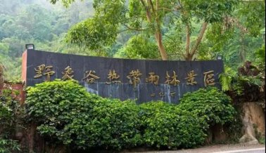 百年人“金秋之約”七彩云南公費(fèi)旅游（之二）